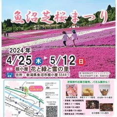 2024年4月25日（木）～5月12日（日）　魚沼芝桜まつり