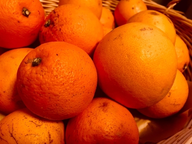 「れもんだに農園」さんから入荷した最高のオレンジ「なくなり次第終了！COKKIPAN特製 オランジェット」