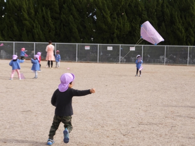 3才児さん「たこあげ大会」