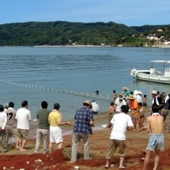 糸島のお祭り・イベント情報！