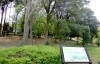 白井総合公園 生き物たちの林