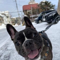 初めての雪道