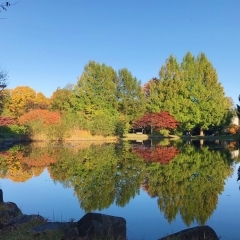 【滝沢】滝沢森林公園