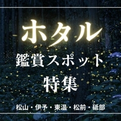 ホタル観賞スポット特集2024【松山・伊予・東温・松前・砥部】