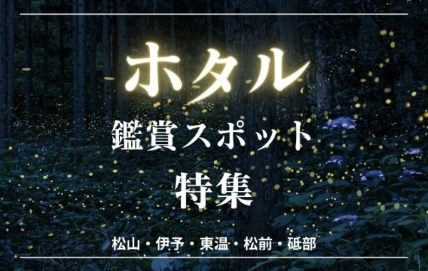 ホタル観賞スポット特集2024【松山・伊予・東温・松前・砥部】