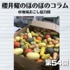 《第54回》保健委員会が私のポジション!新見のポジションは?