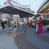 〈終了しました〉【野田阪神駅前広場】4月13日(月) のだふじタッグ!ノダヤオン!