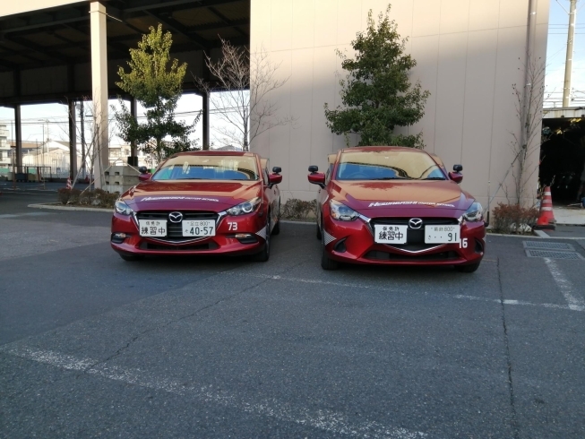 左:マツダアクセラ（旧車）右:マツダ教習車（新車）「新車教習車がデビューしました!!」