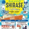 2026年第2回チャレンジングSHIRASE 5月30日(土)に開催決定【予約不要】