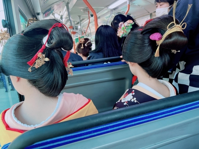 日本髪で市バスへ「深大寺だるま市に参加しました！」
