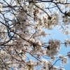 南部公園