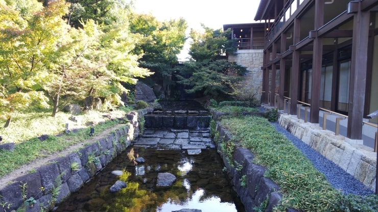 徳川園「徳川園に行ってきました   春日井市民ミズマサの子育て日記」