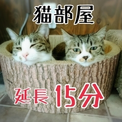 猫部屋 延長15分