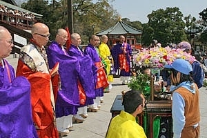 成田山新勝寺花まつり