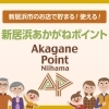 新居浜あかがねポイント