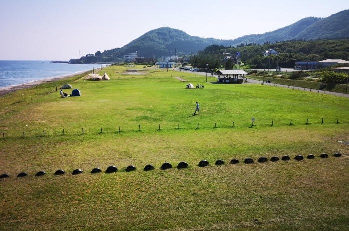 恵山海浜公園キャンプ場　全面芝生のサイト