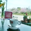 今週のテーマは『桜を見ながらランチ』!