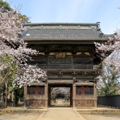 勝願寺｜鴻巣市