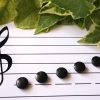 船橋でおすすめのピアノ・ヴァイオリン・音楽教室まとめ! 子供から大人まで