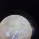 母材から切りはなす刃物の顕微鏡35倍の画像です。
