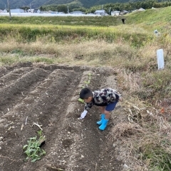 ☆第2弾☆まい畑☆記念日パート1『リベンジ』。【西京区 大原野】