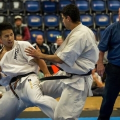 柔道・空手・剣道・合気道・少林寺拳法等関連