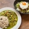 一之江【STUDIO+DINING TREE】