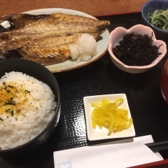 『とと河岸』で癒し和ランチはいかがですか!【藤森】