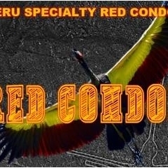 RED CONDOR｜ペルー