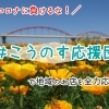 鴻巣市|【#こうのす応援団】プロジェクト はじめました!