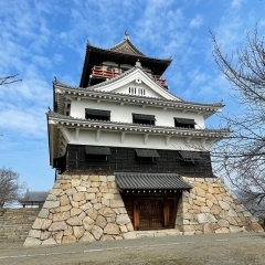 初春の四国中央市。梅の花を求めて…川之江城、森と湖畔の公園、すすきヶ原入野公園へ。