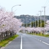富津市役所前|富津市