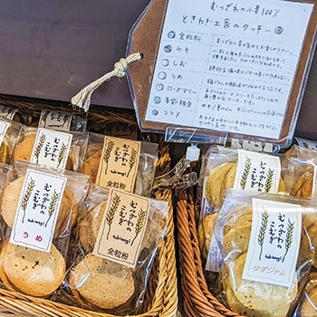 クッキーの食べ比べ