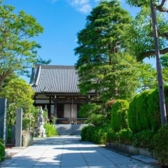 年に1回! 元日護摩法要の時だけご本尊を公開「真言宗豊山派 山野山 正延寺」