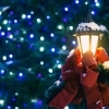 船橋・津田沼でイルミネーションやクリスマスツリーが楽しめるスポット【2025年】