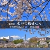 【水戸】行こう! 水戸の桜まつりとお花見の名所【お花見】
