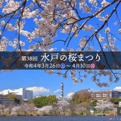 【水戸】行こう！　水戸の桜まつりとお花見の名所【お花見】