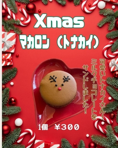 ミルクチョコをサンドしたマカロン「今年のクリスマス商品が販売開始しました！」