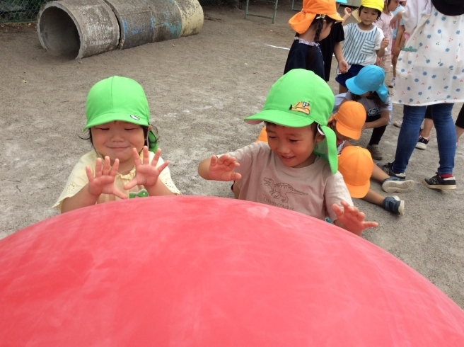 お友達と力を合わせて頑張るぞ！「塩川幼稚園　運動会の練習真っ只中！！みんなで力を合わせて頑張っています！」