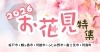 厳選したお花見スポットともっとお花見が楽しくなる豆知識やおすすめのアイテム、口コミをご紹介!フォトコンテストも開催!【埼玉県川越市・坂戸市・鶴ヶ島市・ふじみ野市・富士見市・川島町】