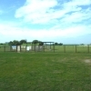 荒川運動公園ドッグラン