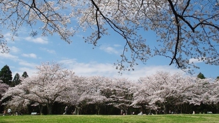 泉自然公園