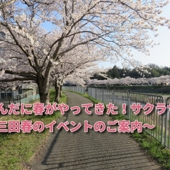 さんだに春がやってきた!
