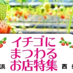 【2023年】新居浜・西条のいちご狩り・イチゴにまつわるお店まとめ【ヘアカラーもイチゴ色!】