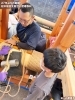 松木坂井太鼓台|組立作業(7)<まいぷれ新居浜・密着取材記事>
