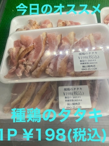 今日のオススメ　種鶏のタタキ「今日のお惣菜」