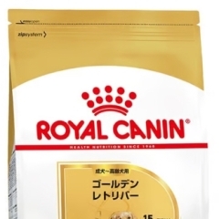 RC BHN ゴールデンレトリバー 成犬~高齢犬 12kg