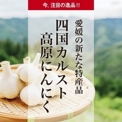 愛媛の新たな特産品「四国カルスト高原にんにく」