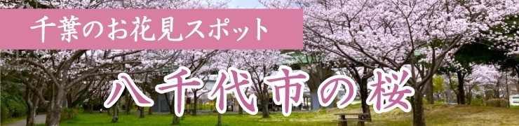 八千代でお花見するならここ! 八千代市の桜情報【2026年】