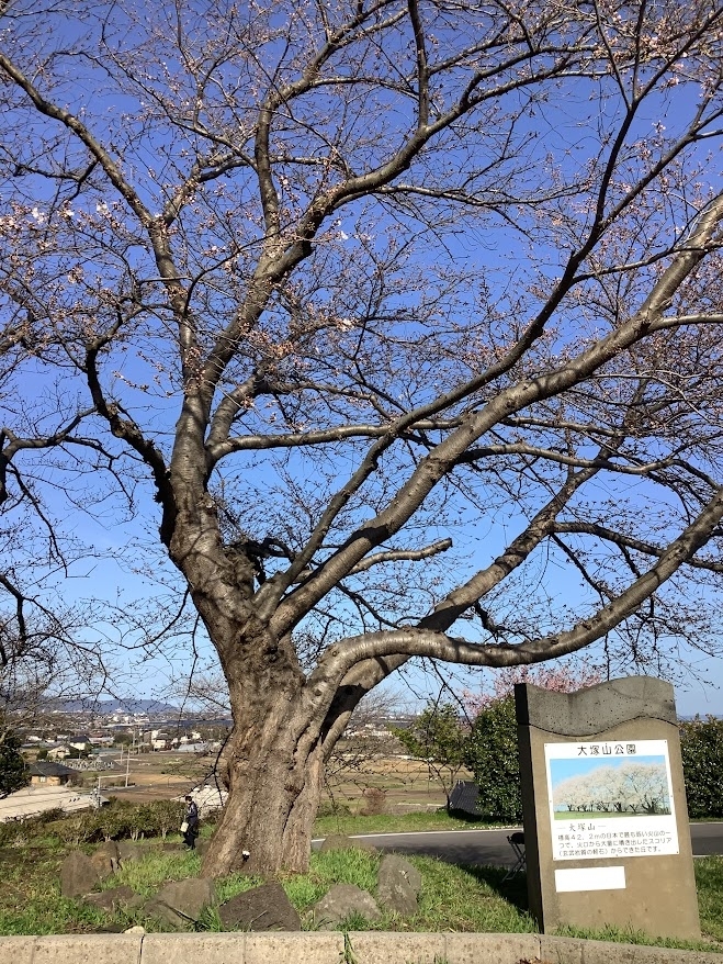 大塚山公園  八束町(大根島)